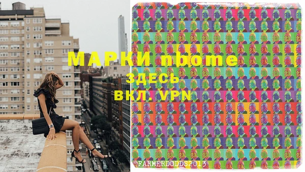 ПСИЛОЦИБИНОВЫЕ ГРИБЫ Вязьма
