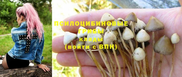ПСИЛОЦИБИНОВЫЕ ГРИБЫ Вязьма