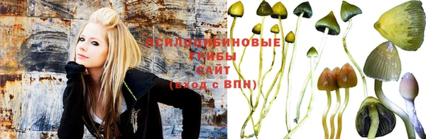 метадон Горняк
