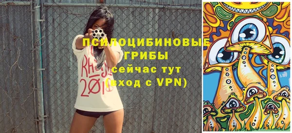 спиды Горнозаводск