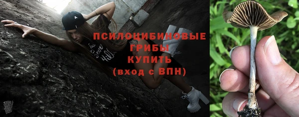 спиды Горнозаводск