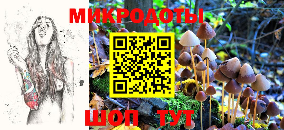 Галлюциногенные грибы MAGIC MUSHROOMS Гусь-Хрустальный
