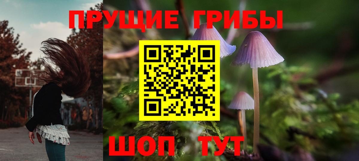 Псилоцибиновые грибы Psilocybe  Псилоцибиновые грибы мухоморы  Гусь-Хрустальный  Вход с VPN 